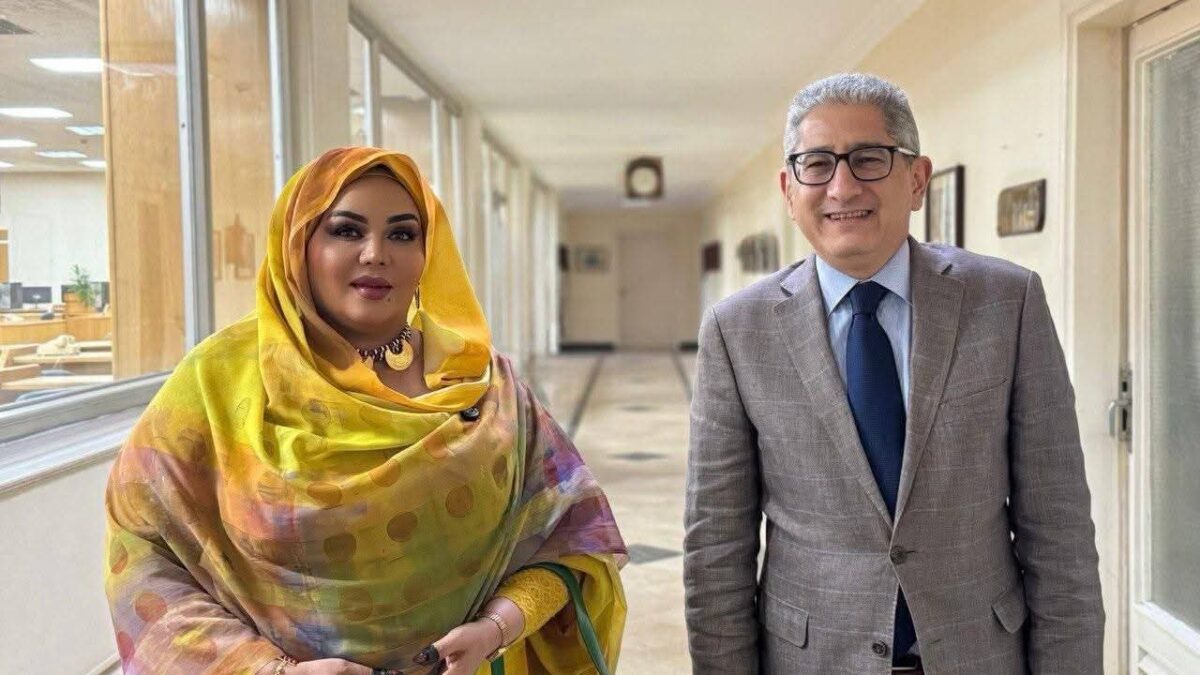 قالت الدكتورة أماني الطويل، الباحثة بمركز الأهرام للدراسات، إن لقائها  الاثنين  مع الأستاذ ماجد منير، رئيس تحرير جريدة الأهرام، جاء في إطار مهامها البحثية