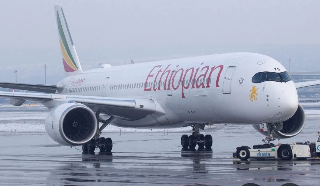 أعلنت مجموعة "مصطفى أبوسليمان" للسفر والسياحة والصيد  السبت عن تراجع الخطوط الجوية الإثيوبية عن قرارها السابق بتعليق رحلاتها إلى السودان.
